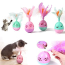 Brinquedo Bola Para Gatos