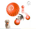 Bola Interativa Inteligente para Pets
