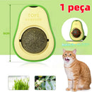 Bolinha natural estilo “abacate”
